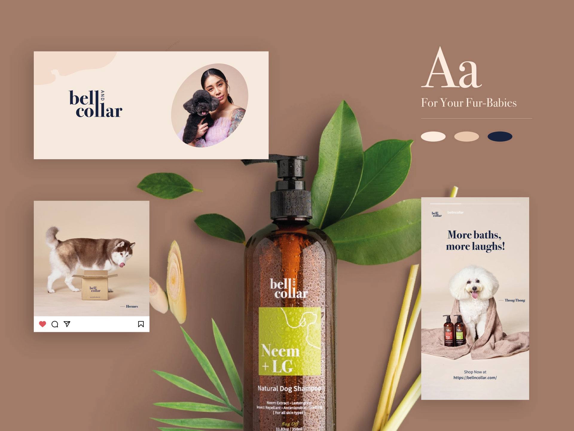 A natural dog shampoo bottle with three creative modern design elements showcasing the brand “Bell and Collar”. The image reflects cohesive branding and expert website design for pet care products by Bike Bear.