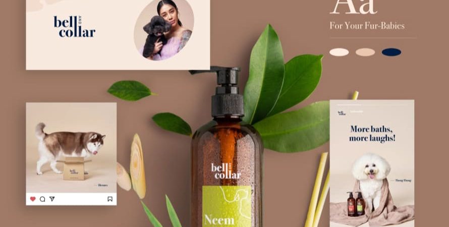 A natural dog shampoo bottle with three creative modern design elements showcasing the brand “Bell and Collar”. The image reflects cohesive branding and expert website design for pet care products by Bike Bear.